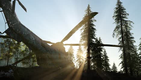 old rusted military helicopter