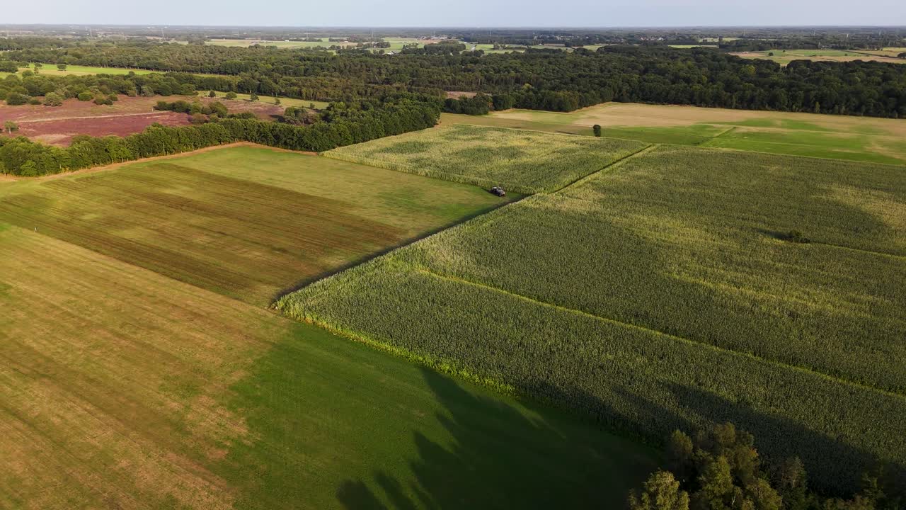 vista aérea de los campos agrícolas