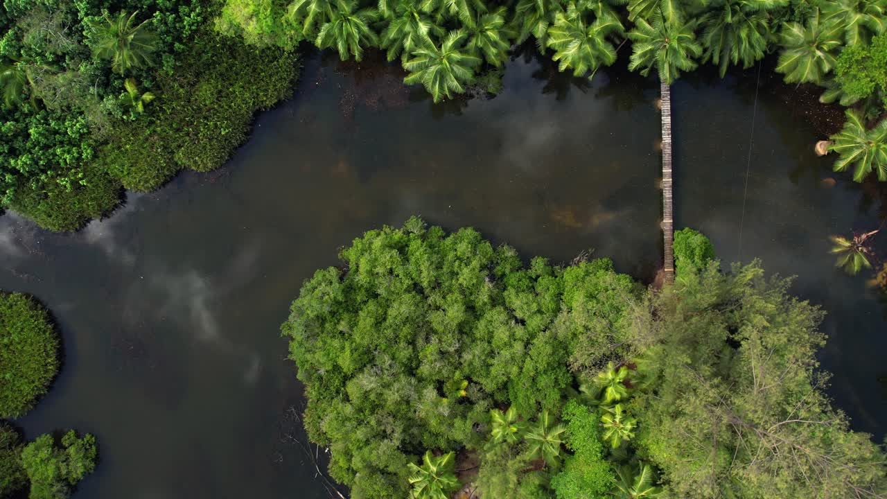 drone disparado sobre un río con puente de madera, vegetación exuberante, reflejo en el agua de nubes y palmeras, mahe, seychelles