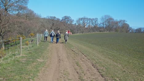 people walking on a country path