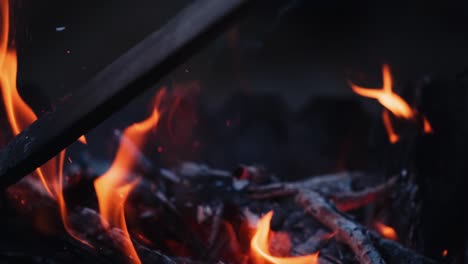 bonfire. burning logs in orange flames. beautiful fire burns brightly. slow motion