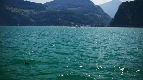 Peaceful-View-of-One-Duck-and-Boat-on-Mountain-Lake---Hergiswil-Switzerland-Mountains-in-4K