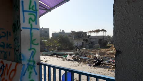 looking from a graffiti covered building as pack of stray dogs scavenge in debris