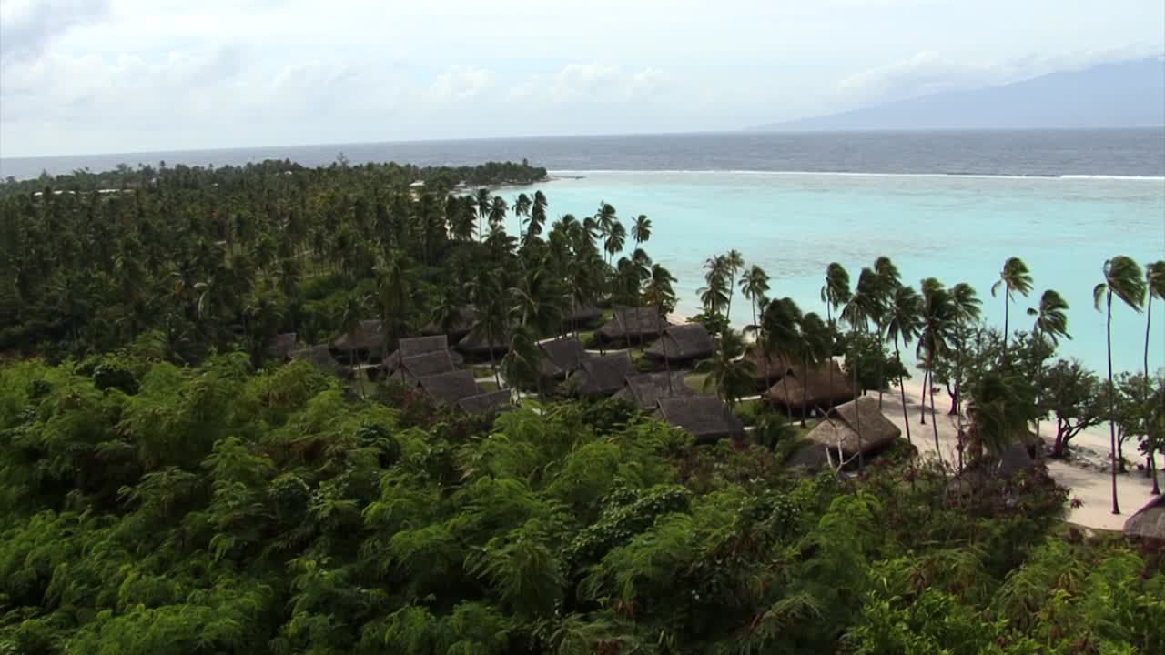 Beach, Palm trees and Wooden houses in Moorea, French Polynesia