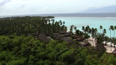 playa, palmeras y casas de madera en moorea, polinesia francesa