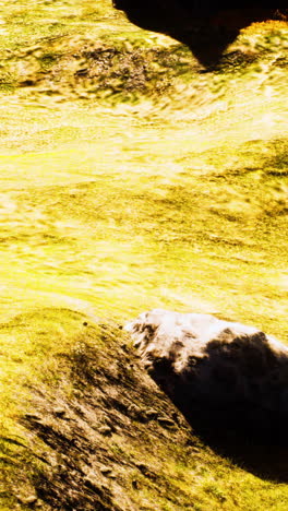 golden grass field with rocks