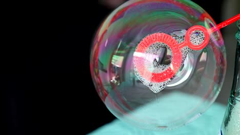 colorful soap bubble macro