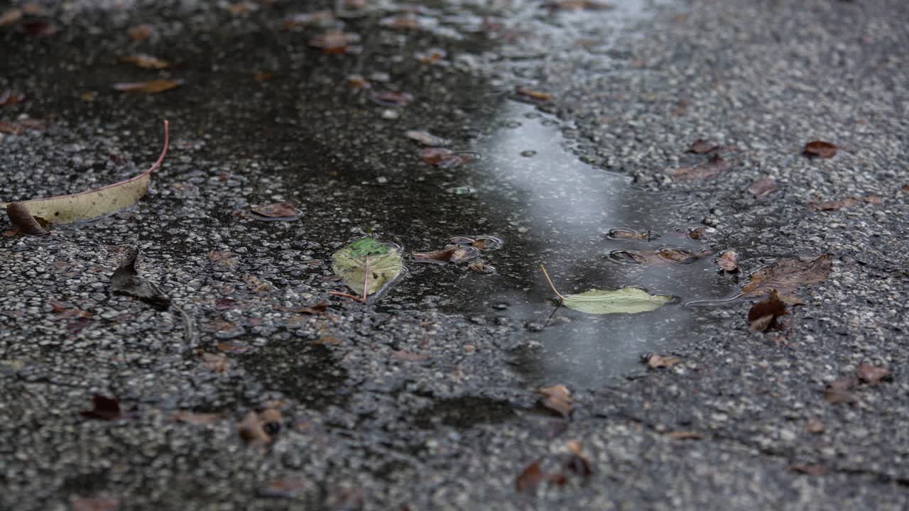 아스팔트 위에 방울이 떨어집니다.