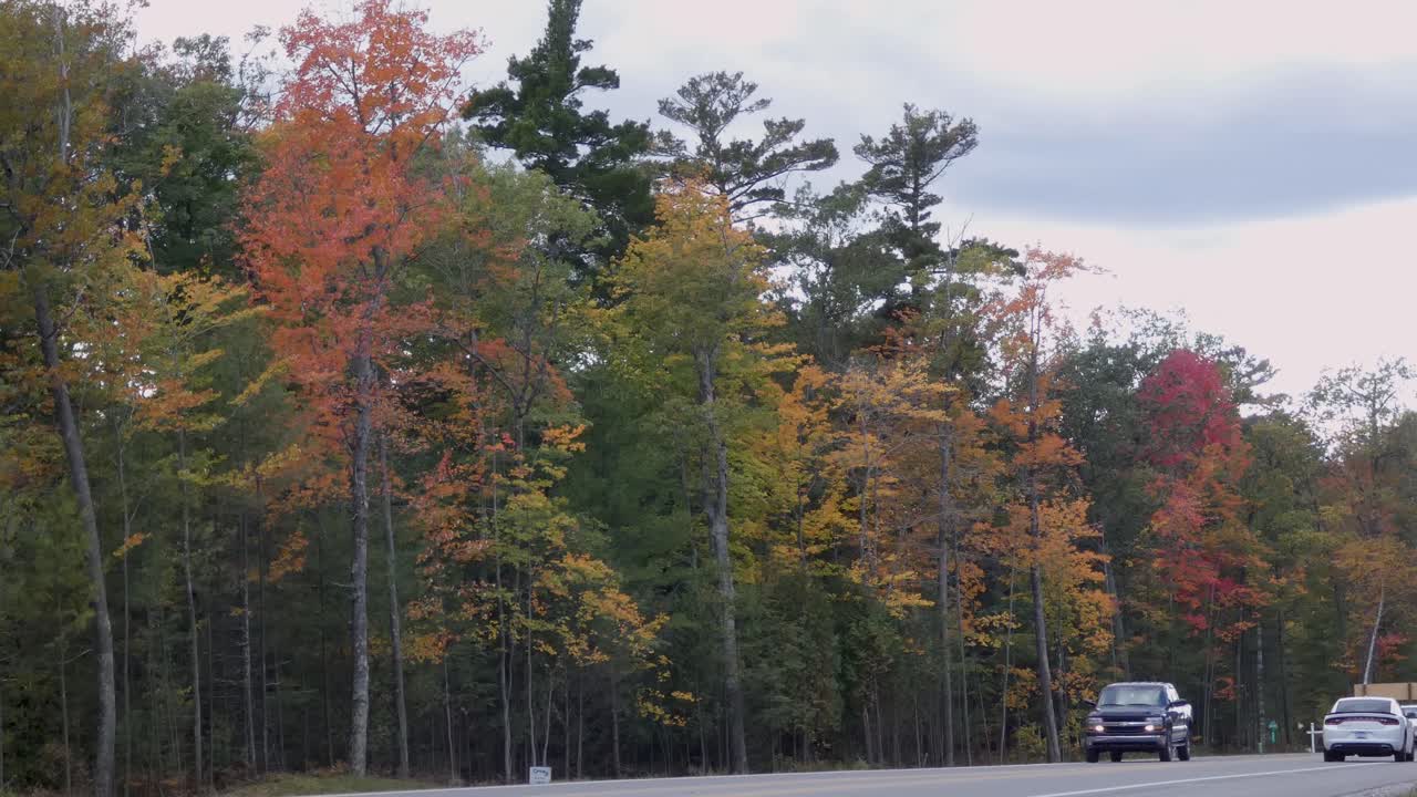 Vehicles Driving on a Road Through a Vibrant Autumn Forest