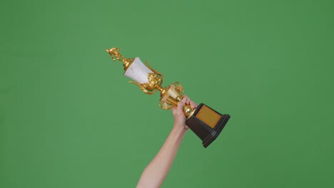 hand holding a trophy against a green screen