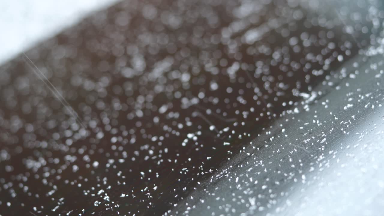 ニュージャージー郊外の雪の日-1