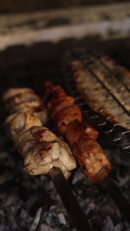 grilled chicken and pork kebabs with fish