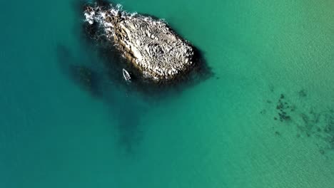 Pescando-Junto-A-Una-Roca-En-La-Península-De-Coromandel