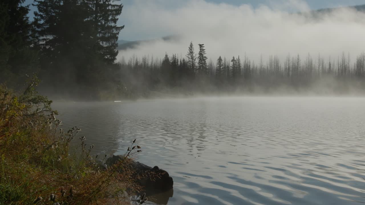La nebbia mattutina aleggia su un lago calmo in un paesaggio isolato, mentre gli alberi costeggiano la riva e le nuvole basse si spostano in lontananza, creando una scena naturale tranquilla e suggestiva