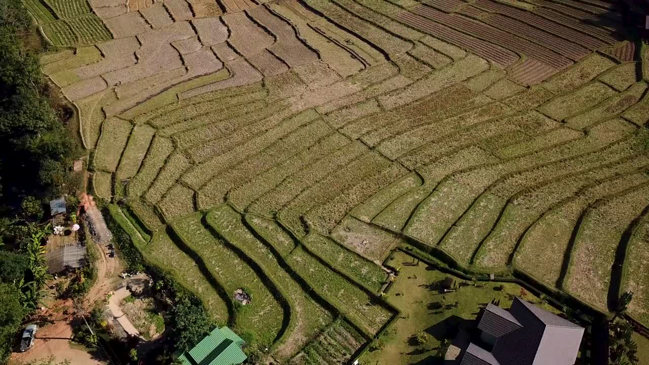 belleza de tailandia