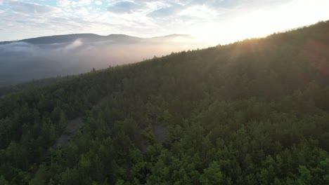 Luz-Del-Sol-En-El-Espacio-Terrestre-De-La-Vista-Aérea-Del-Bosque