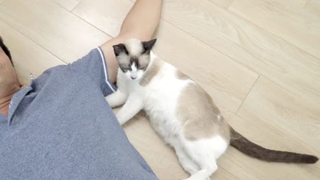 asian man with elder cat lying on floor at home.