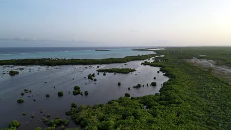 a drone slowly flies out over a lagoon and tropical forest towards the ocean and a coral reef on the cayman islands in the caribbean at sunset