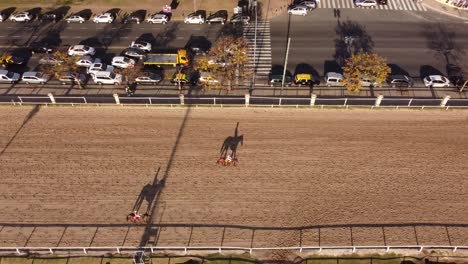 jockeys on horses with long shadows on track, aerial view