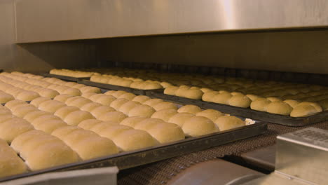 Bandejas-De-Bollos-De-Pan-Saliendo-Del-Horno