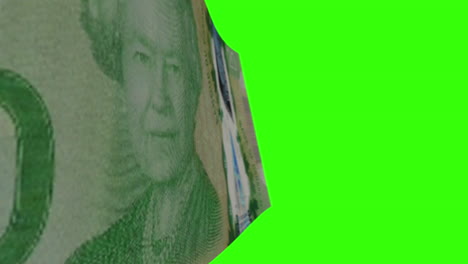 a canadian 20 dollar bill