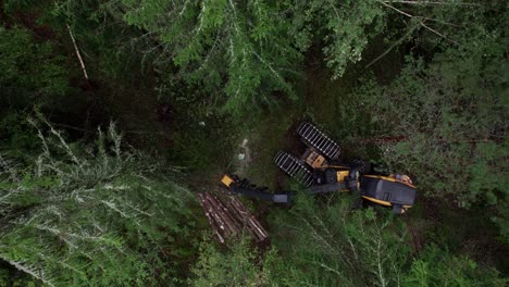 fotografía aérea de arriba de la maquinaria forestal y forestal escandinava finlandesa ponsse escorpión cosechadora, filmada con dji air 2s