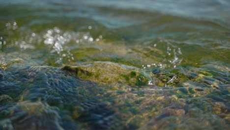 Los-Niveles-De-Agua-Suben,-Ondulan-Y-Caen-Alrededor-De-Una-Roca-Cubierta-De-Musgo