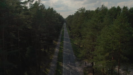 cars driving through forest road in poland