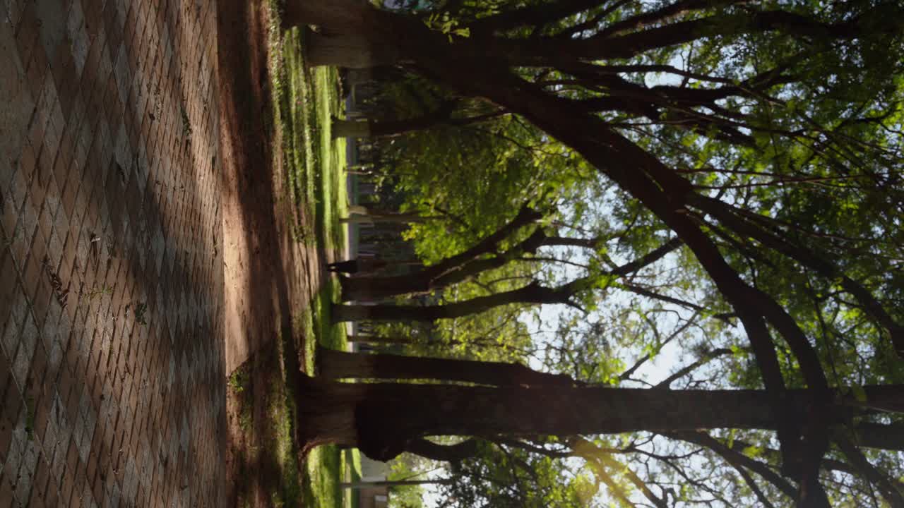 Woman walking through a pathway on a forest