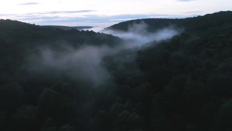 early morning fog rolls around a forested valley