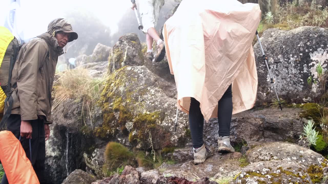 excursionistas caminan con mochilas y palos de senderismo mientras caminan por el monte kilimanjaro en la niebla