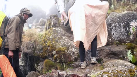hikers walk with backpacks and trekking poles while trekking mount kilimanjaro in fog