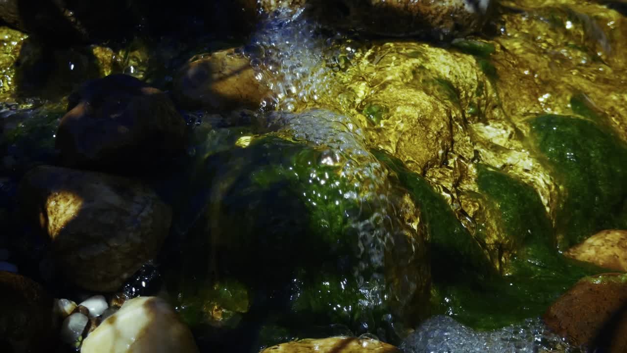 Fresh mountain water flows gracefully over bright green moss.