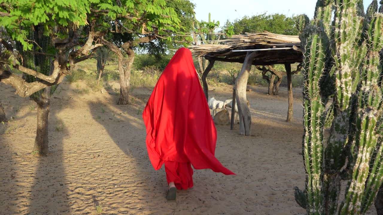 Una persona envuelta en un vibrante chal rojo camina por el desierto arenoso de La Guajira, entre cactus y un refugio rústico de madera, con cabras pastando, bajo la cálida luz dorada del sol. Escena colombiana única