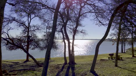 left to right pan of a shoreline in a public park near dallas, texas with the sun shining, trees blowing in the wind, and water glimmering on the lake