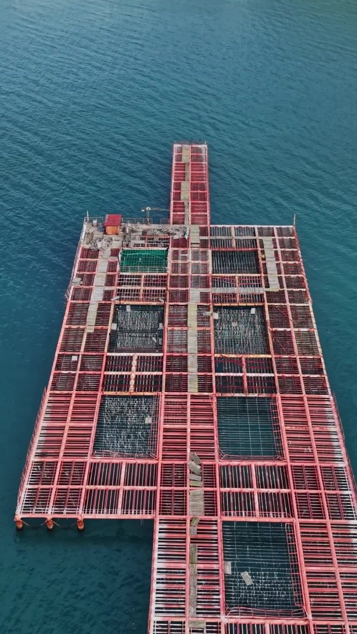 Underwater farming of shellfish in mussel cultivation area