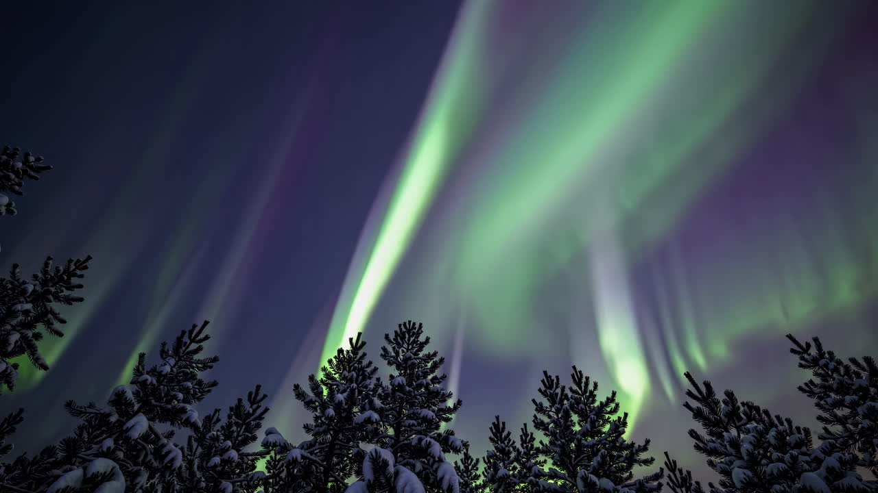Stunning video concept of the Northern Lights, captured from a low-angle, showcasing vibrant green