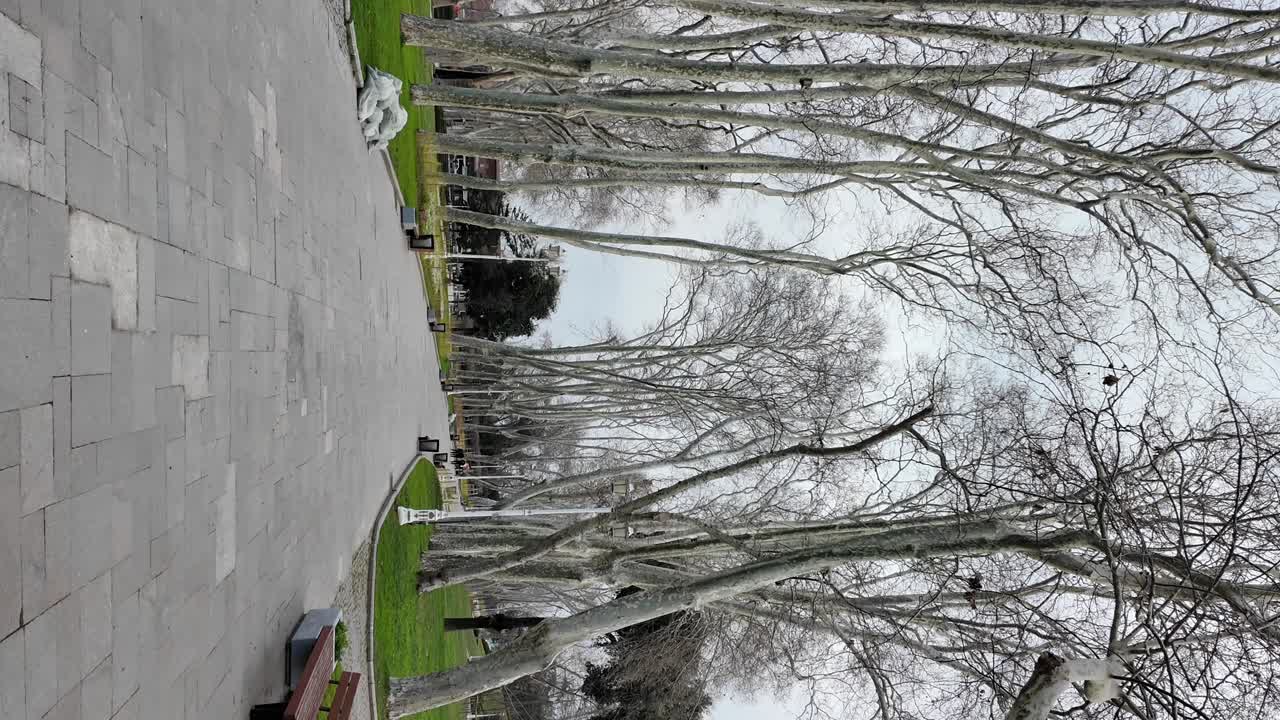 벌거벗은 나무 에 있는 공원 길