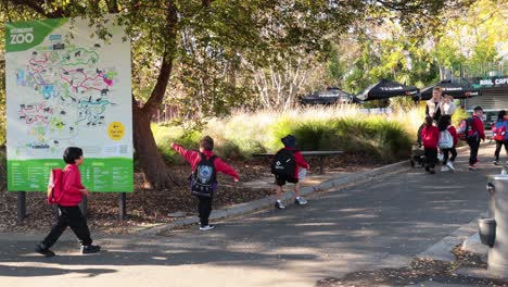 children exploring melbourne zoo on a sunny day