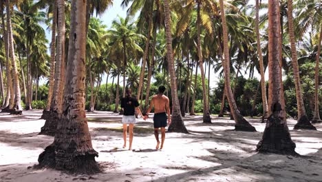 a serene aerial drone capture of a couple strolling along geiymiskih fannu beach at sunset, enveloped by lush palm trees in fuvahmulah, maldives.