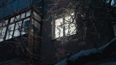 residential building exterior illuminated by warm light streaming through window, surrounded by frosty branches of trees, the bright interior contrasts with icy winter evening