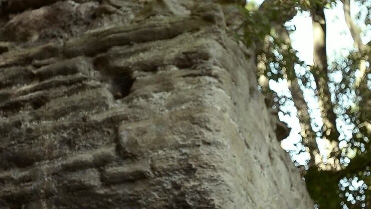 Ruínas em uma área arborizada.