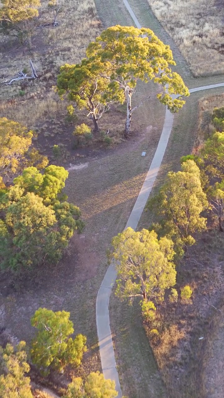 High angle drone shot pans across Australian residential houses and gum trees during golden hour