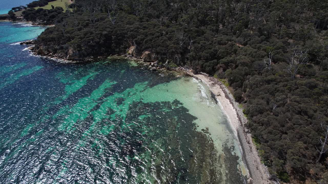 Dronefoto af strand omgivet af frodig vegetation på Maria Island, TAS, Australien