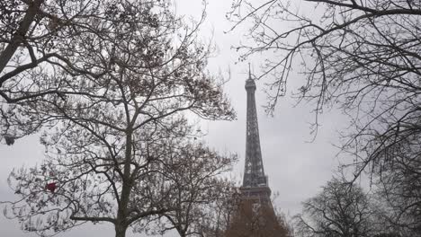 torre eiffel entre las ramas de los árboles. disparado desde abajo
