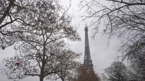 eiffel tower between tree branches. shot from below