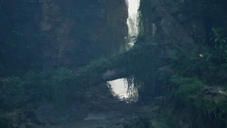 mysterious jungle path with fog and ruins