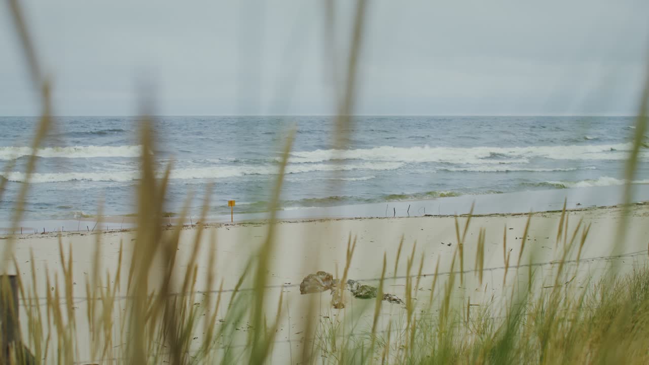Coastal Beach Scene with Waves and Grass