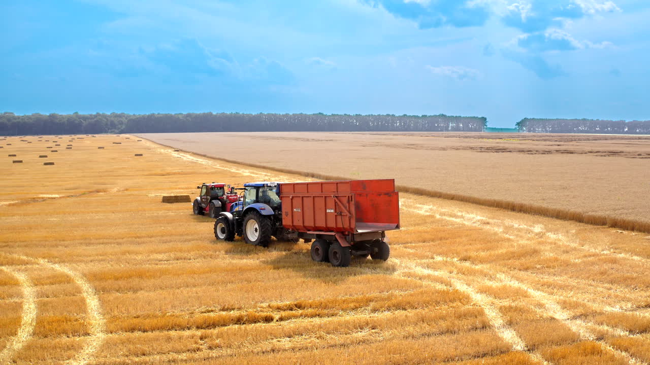 Bale machine collect straw in the field. Aerial view of country farming landscape and wheat field being harvested by combine harvester with trailer