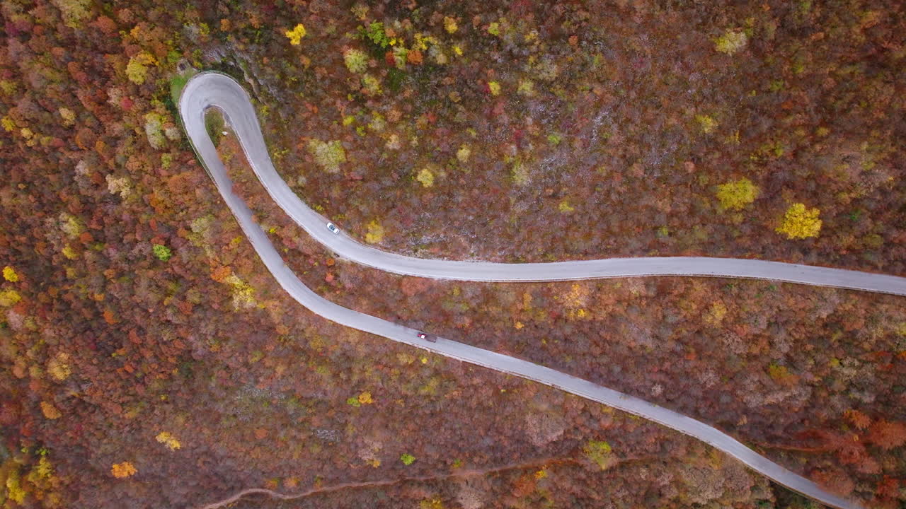 vista aérea de un camino sinuoso a través de un bosque de otoño